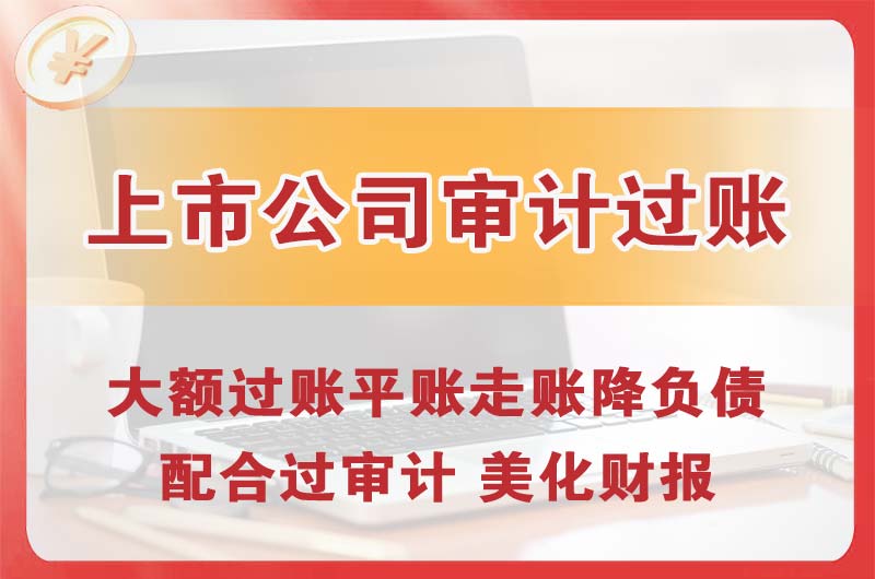 乐昌上市公司审计过账